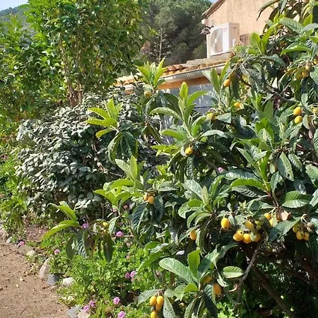 Aux Pieds Des Montagnes Calenzana